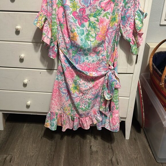 Lilly Pulitzer dress - Picture 4 of 13